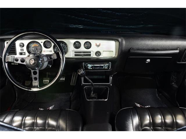 1976 Pontiac Firebird Trans Am (CC-2087375) for sale in Rockville, Maryland