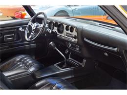 1976 Pontiac Firebird Trans Am (CC-2087375) for sale in Rockville, Maryland