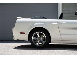 2007 Ford Mustang (CC-2080739) for sale in Wayne, Pennsylvania