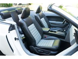 2007 Ford Mustang (CC-2080739) for sale in Wayne, Pennsylvania