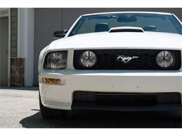 2007 Ford Mustang (CC-2080739) for sale in Wayne, Pennsylvania