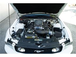 2007 Ford Mustang (CC-2080739) for sale in Wayne, Pennsylvania