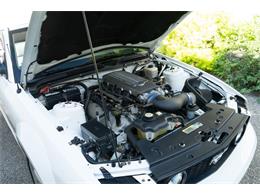 2007 Ford Mustang (CC-2080739) for sale in Wayne, Pennsylvania