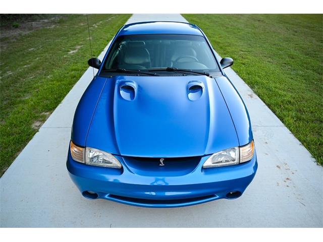1998 Ford Mustang SVT Cobra (CC-2087396) for sale in Warner Robins, Georgia