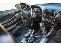 1998 Ford Mustang SVT Cobra (CC-2087396) for sale in Warner Robins, Georgia