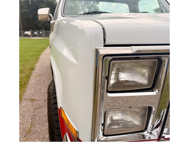 1985 Chevrolet K-10 (CC-2087419) for sale in Fenton, Michigan