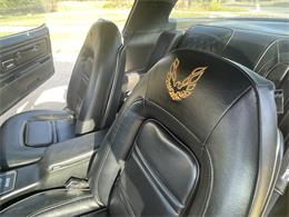 1976 Pontiac Firebird Trans Am (CC-2087448) for sale in San Antonio, Texas