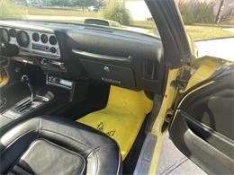 1976 Pontiac Firebird Trans Am (CC-2087448) for sale in San Antonio, Texas