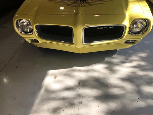 1976 Pontiac Firebird Trans Am (CC-2087448) for sale in San Antonio, Texas