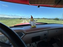 1955 Chevrolet 3100 (CC-2080750) for sale in Sebastopol, California