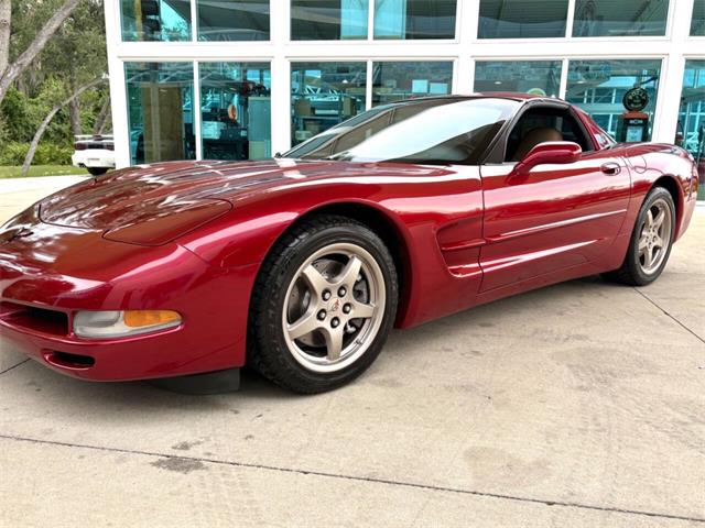 2004 Chevrolet Corvette (CC-2087506) for sale in Bradenton, Florida