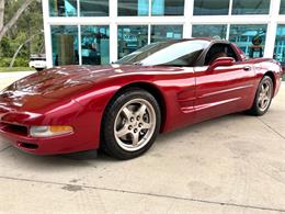 2004 Chevrolet Corvette (CC-2087506) for sale in Bradenton, Florida