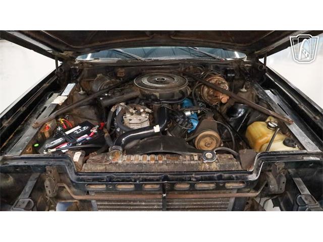 1975 AMC Matador (CC-2087517) for sale in New Braundfels, Texas