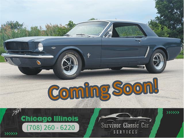 1965 Ford Mustang (CC-2087542) for sale in Palmetto, Florida