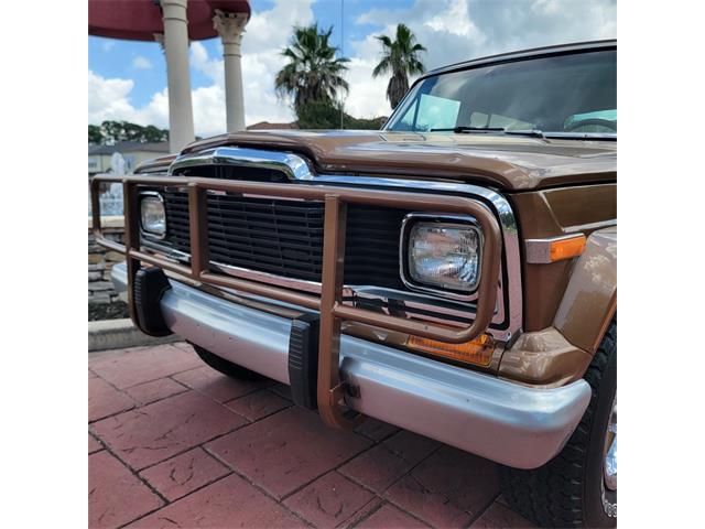 1979 Jeep Cherokee Chief (CC-2080755) for sale in CONROE, Texas