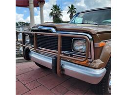 1979 Jeep Cherokee Chief (CC-2080755) for sale in CONROE, Texas