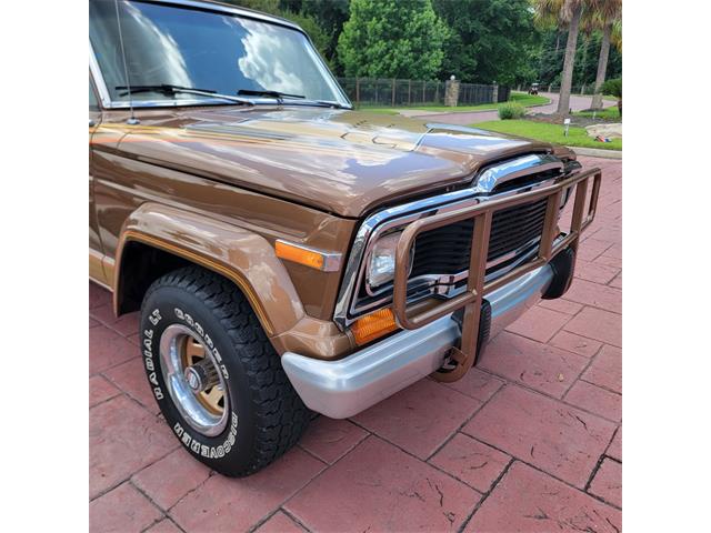 1979 Jeep Cherokee Chief (CC-2080755) for sale in CONROE, Texas