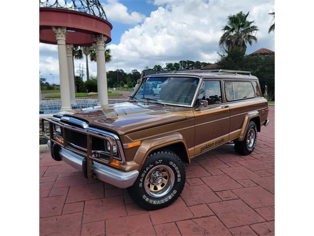1979 Jeep Cherokee Chief (CC-2080755) for sale in CONROE, Texas