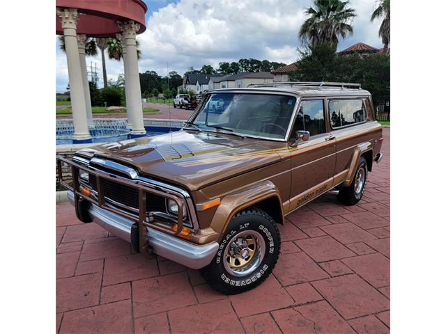 1979 Jeep Cherokee Chief (CC-2080755) for sale in CONROE, Texas