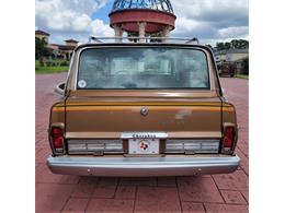 1979 Jeep Cherokee Chief (CC-2080755) for sale in CONROE, Texas