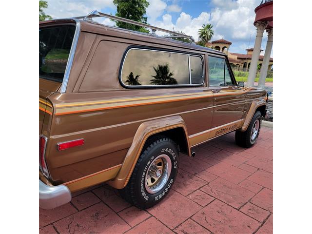 1979 Jeep Cherokee Chief (CC-2080755) for sale in CONROE, Texas