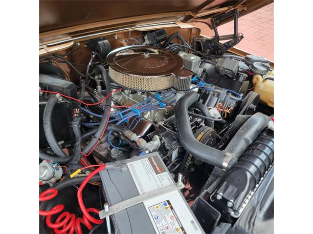 1979 Jeep Cherokee Chief (CC-2080755) for sale in CONROE, Texas