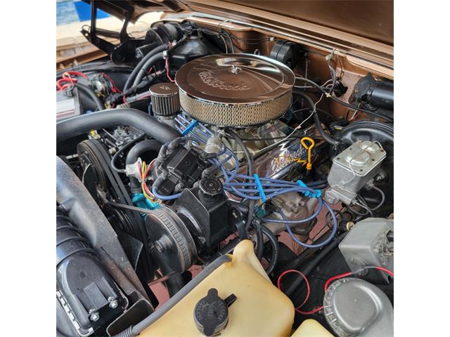 1979 Jeep Cherokee Chief (CC-2080755) for sale in CONROE, Texas