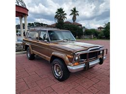 1979 Jeep Cherokee Chief (CC-2080755) for sale in CONROE, Texas