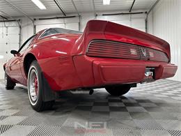 1981 Pontiac Firebird (CC-2087567) for sale in North East, Pennsylvania