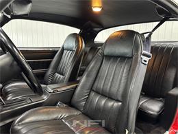 1981 Pontiac Firebird (CC-2087567) for sale in North East, Pennsylvania