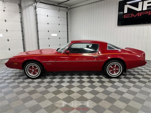 1981 Pontiac Firebird (CC-2087567) for sale in North East, Pennsylvania