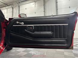 1981 Pontiac Firebird (CC-2087567) for sale in North East, Pennsylvania