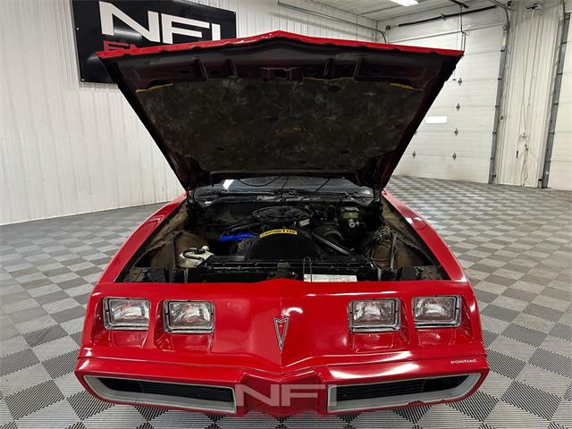 1981 Pontiac Firebird (CC-2087567) for sale in North East, Pennsylvania