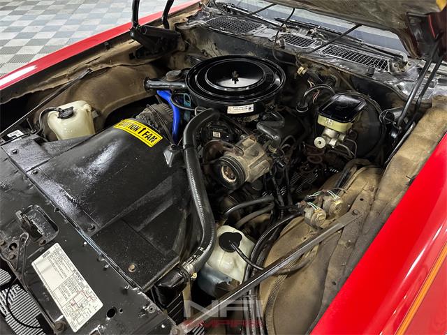 1981 Pontiac Firebird (CC-2087567) for sale in North East, Pennsylvania