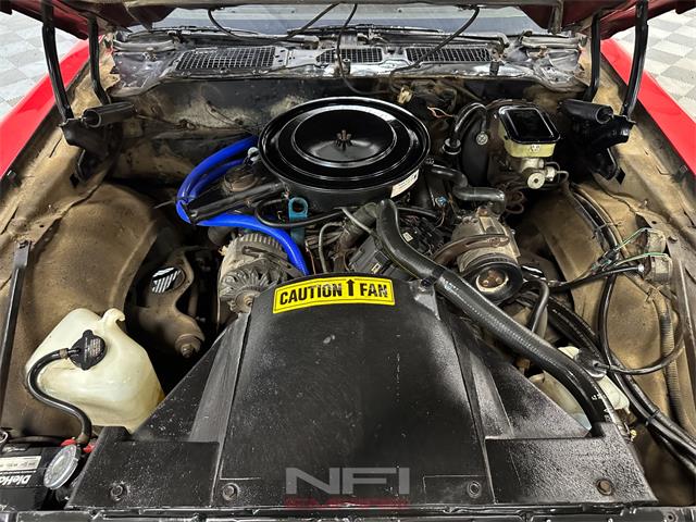1981 Pontiac Firebird (CC-2087567) for sale in North East, Pennsylvania