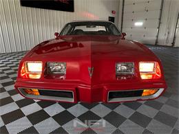 1981 Pontiac Firebird (CC-2087567) for sale in North East, Pennsylvania