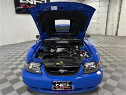2004 Ford Coupe (CC-2087575) for sale in North East, Pennsylvania