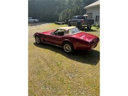 1974 Chevrolet Corvette (CC-2087588) for sale in Cadillac, Michigan