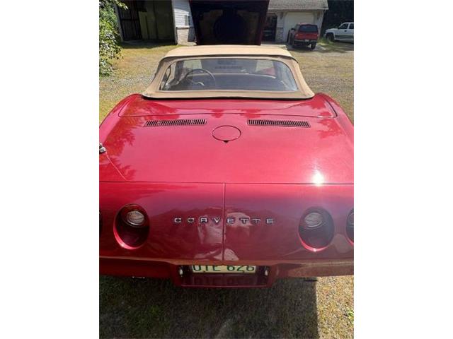 1974 Chevrolet Corvette (CC-2087588) for sale in Cadillac, Michigan