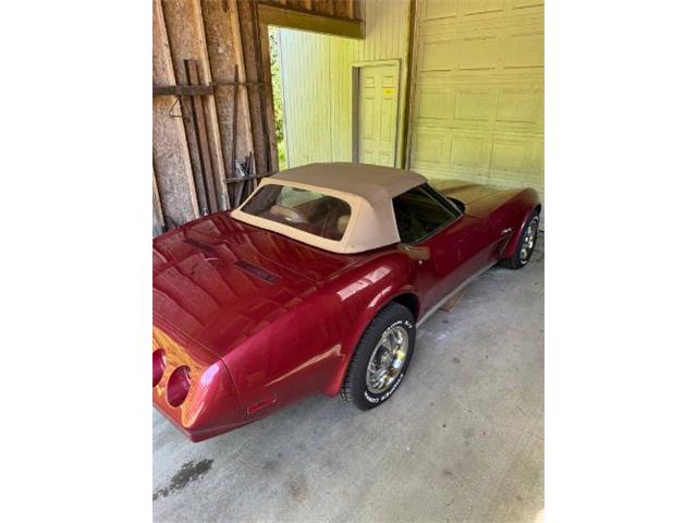 1974 Chevrolet Corvette (CC-2087588) for sale in Cadillac, Michigan