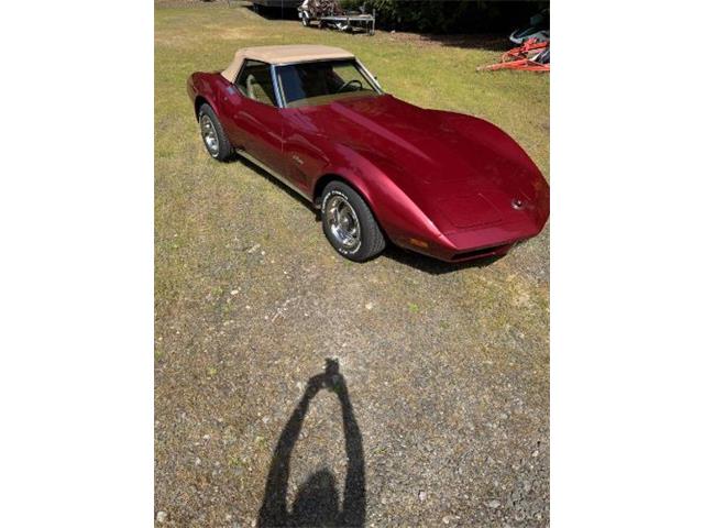 1974 Chevrolet Corvette (CC-2087588) for sale in Cadillac, Michigan