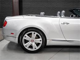 2014 Bentley Continental (CC-2087611) for sale in Sherwood Park, Alberta