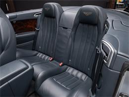 2014 Bentley Continental (CC-2087611) for sale in Sherwood Park, Alberta