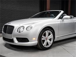 2014 Bentley Continental (CC-2087611) for sale in Sherwood Park, Alberta