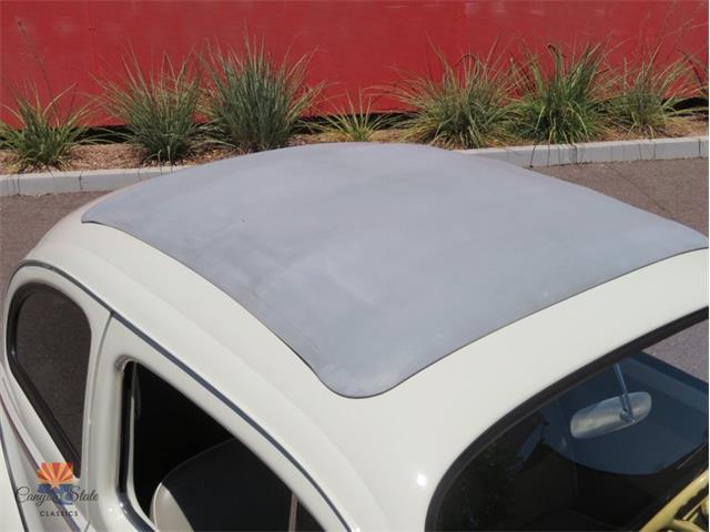 1962 Volkswagen Beetle (CC-2087618) for sale in Mesa, Arizona