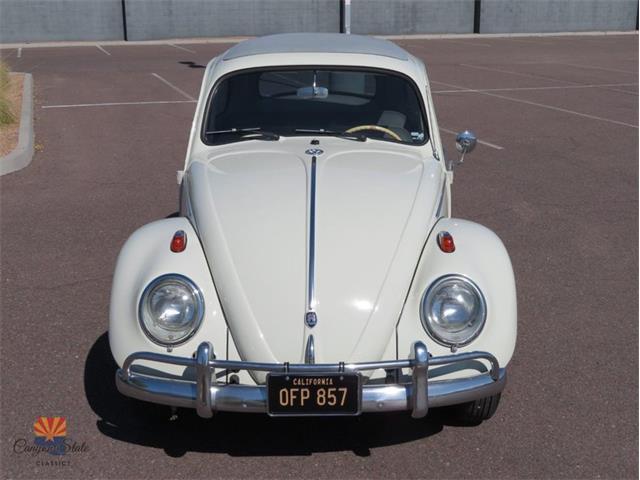 1962 Volkswagen Beetle (CC-2087618) for sale in Mesa, Arizona