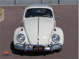 1962 Volkswagen Beetle (CC-2087618) for sale in Mesa, Arizona