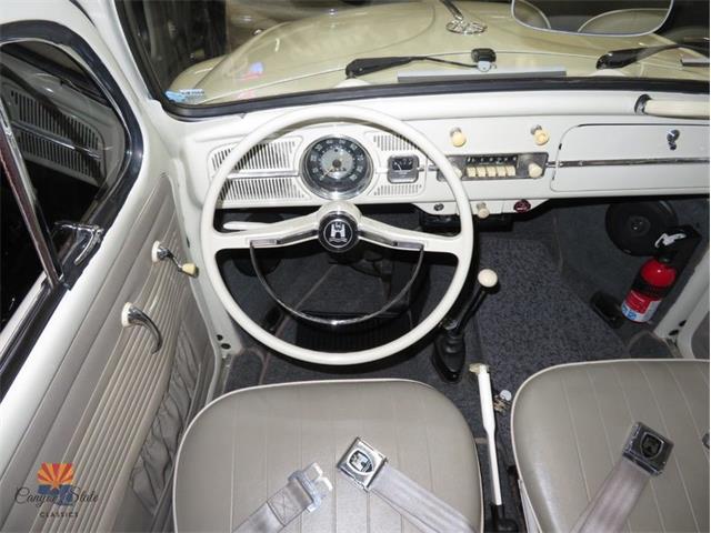 1962 Volkswagen Beetle (CC-2087618) for sale in Mesa, Arizona