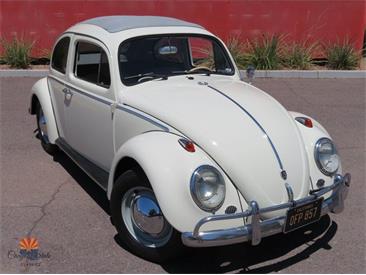 1962 Volkswagen Beetle (CC-2087618) for sale in Mesa, Arizona