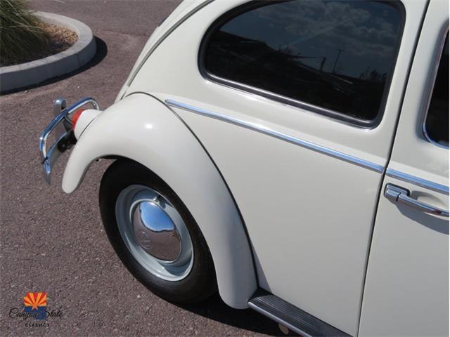1962 Volkswagen Beetle (CC-2087618) for sale in Mesa, Arizona